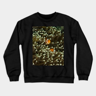 A Pair of Anemonefish Crewneck Sweatshirt